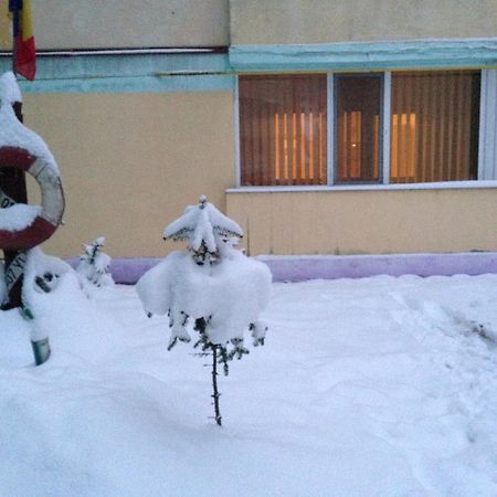 Apartament Slănic-Moldova Екстериор снимка